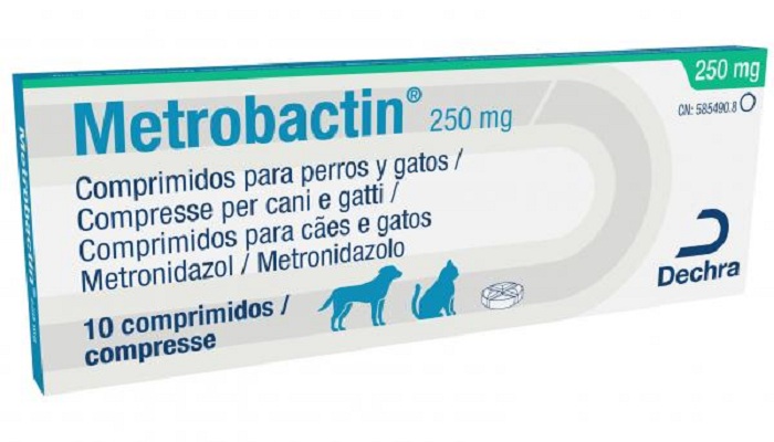 Metronidazol Para Perros. Usos Y Dosis Recomendada
