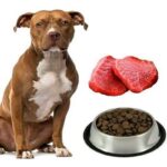 comida-para-pitbull-4